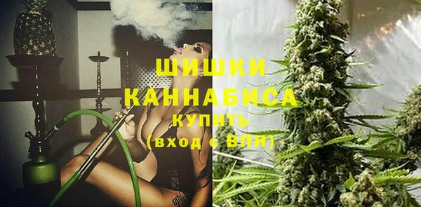 шишки Балабаново