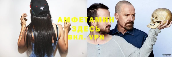 шишки Балабаново