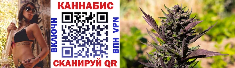 площадка формула Ясногорск Марихуана AK-47